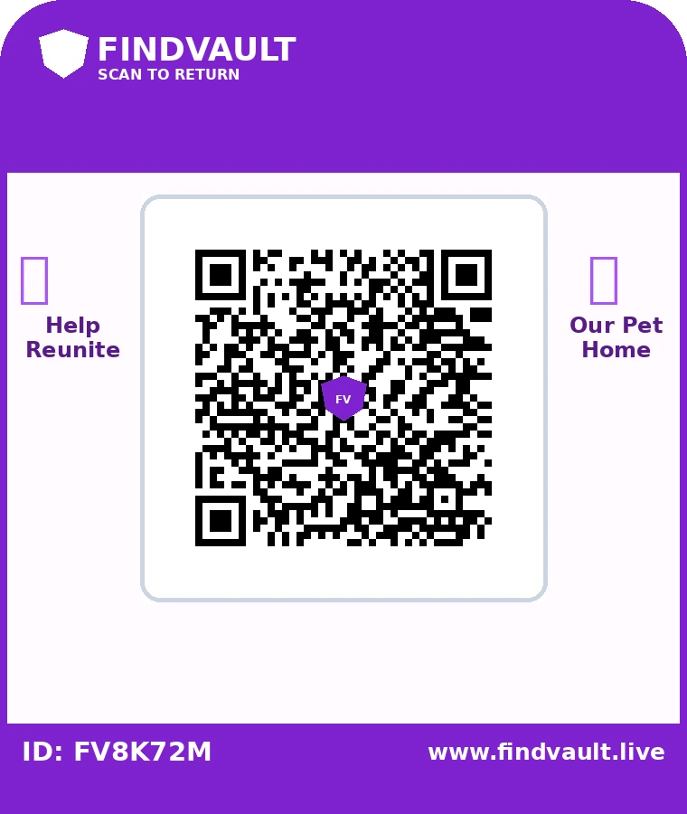 FindVault pet QR tag